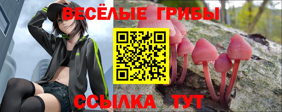 Галлюциногенные грибы прущие грибы  Вход с VPN  Самара 